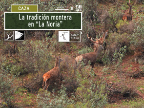 Imagen de Tradición montera en La Noria - 2