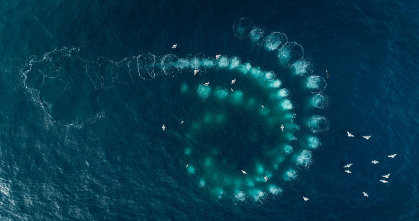 Las guardianas del planeta