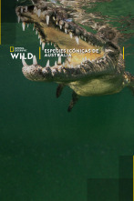 Imagen de Especies icónicas de Australia - 1