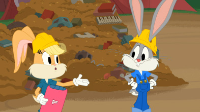 Imagen de Bugs bunny:... (T1): Una limpieza a fondo - 2