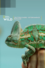 Critter Fixers: veterinarios rurales: Mundo de reptiles