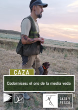 Imagen de Codornices: el oro de la media veda - 1
