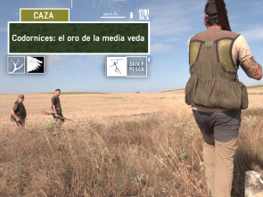 Imagen de Codornices: el oro de la media veda - 2