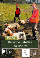 Batiendo jabalies en Coruxo