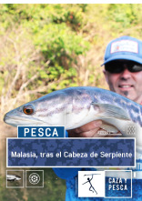 Imagen de Malasia, tras el Cabeza de Serpiente - 1