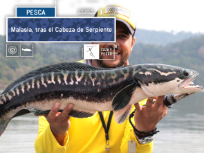 Imagen de Malasia, tras el Cabeza de Serpiente - 2