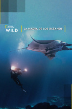 Imagen de La magia de los océanos - 1