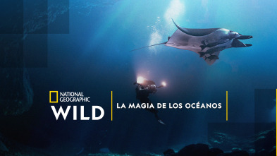 Imagen de La magia de los océanos - 2