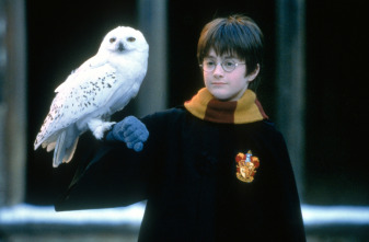 Imagen de The Movies  - 8