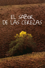 El sabor de las cerezas