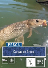 Imagen de Carpas en Arcos - 2