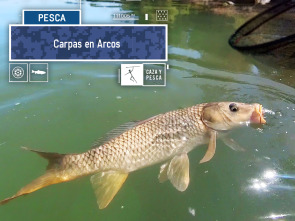 Imagen de Carpas en Arcos - 1