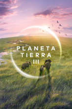 Planeta Tierra III 