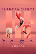 Planeta Tierra III: Costas