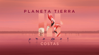 Planeta Tierra III: Costas