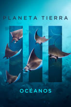 Planeta Tierra III: Océanos