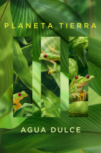 Planeta Tierra III: Agua dulce