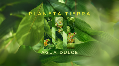 Planeta Tierra III: Agua dulce