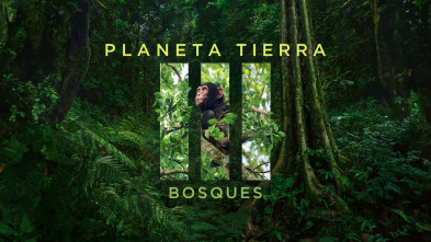 Planeta Tierra III: Bosques