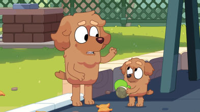 Imagen de Bluey (T3): La tortilla - 1