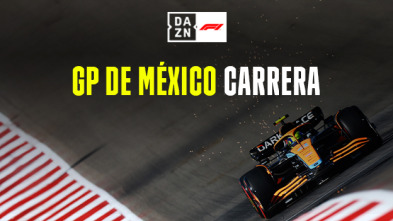 GP de México: Carrera