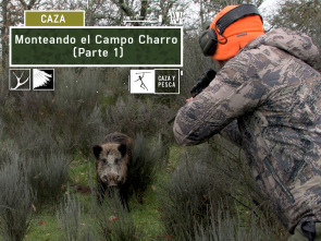 Imagen de Monteando en el campo charro. 1ª parte - 2