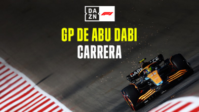 GP de Abu Dabi (Yas...: GP de Abu Dabi: Carrera