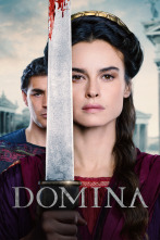 Imagen de (LSE) - Domina (T2) - 1