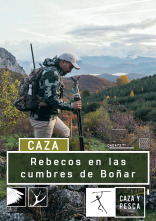 Rebecos en las cumbres de Boñar