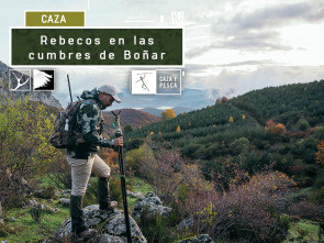 Rebecos en las cumbres de Boñar