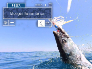 Imagen de Mazagón: bonitos del Sur - 1