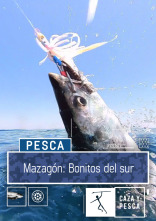 Imagen de Mazagón: bonitos del Sur - 2