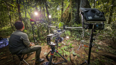 Cómo se hizo Planeta...: Cómo se hizo Bosques