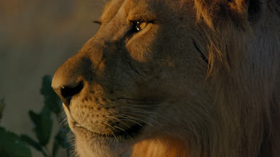 Imagen de Savage Kingdom: La jauría salvaje - 1