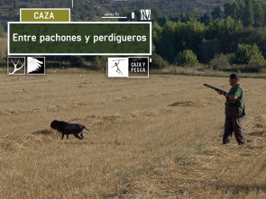 Imagen de Entre pachones y perdigueros - 2