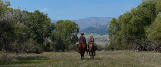 Camino de la venganza