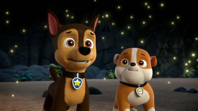 La Patrulla Canina (T10): La patrulla en la selva descubre la Selva Oculta