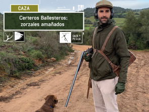 Certeros ballesteros: Zorzales amañados