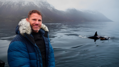 Ballenas con Steve Backshall 