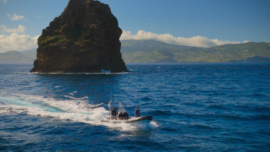 Ballenas con Steve...: Cazadoras