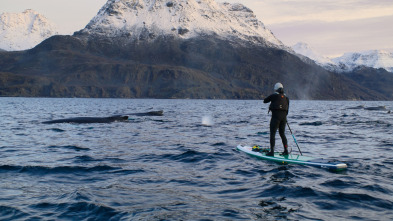 Ballenas con Steve...: Viajeras