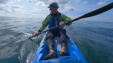 Imagen de Ballenas con Steve...: Supervivientes - 1