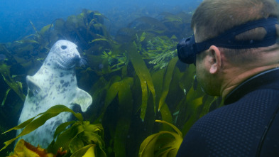 Imagen de Ballenas con Steve...: Supervivientes - 5