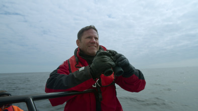 Imagen de Ballenas con Steve...: Supervivientes - 6