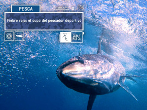 Imagen de Fiebre roja: el cupo del pescador deportivo - 2