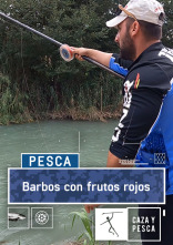 Imagen de Barbos con frutos rojos - 1