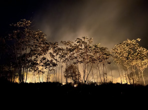 Planeta Tierra III: Humanos