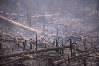 Cómo se hizo Planeta...: Cómo se hizo Humanos