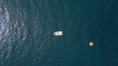 Imagen de ¿Preparados para el Tsunami? - 9