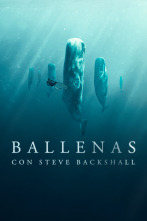 Ballenas con Steve Backshall 